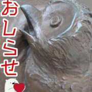 ヒメ日記 2026/09/30 22:25 投稿 さやか【業界未経験】 茨城水戸ちゃんこ