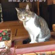 ヒメ日記 2026/10/02 07:25 投稿 さやか【業界未経験】 茨城水戸ちゃんこ