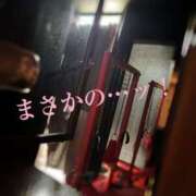 ヒメ日記 2025/05/31 16:34 投稿 なみ 逢って30秒で即尺