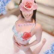 ヒメ日記 2025/06/07 09:23 投稿 なみ 逢って30秒で即尺