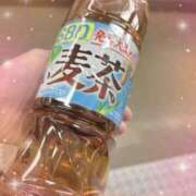 ヒメ日記 2025/06/29 10:01 投稿 なみ 逢って30秒で即尺