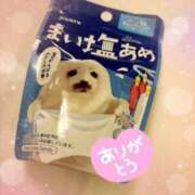 ヒメ日記 2025/07/12 20:26 投稿 なみ 逢って30秒で即尺