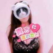 ヒメ日記 2025/07/26 07:37 投稿 なみ 逢って30秒で即尺