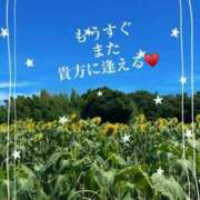 ヒメ日記 2025/08/01 16:13 投稿 なみ 逢って30秒で即尺