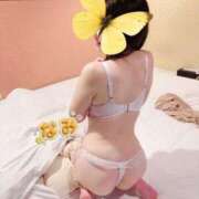 ヒメ日記 2025/09/09 05:58 投稿 なみ 逢って30秒で即尺