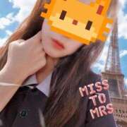 ヒメ日記 2025/09/13 12:31 投稿 なみ 逢って30秒で即尺