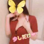 ヒメ日記 2025/09/13 14:58 投稿 なみ 逢って30秒で即尺