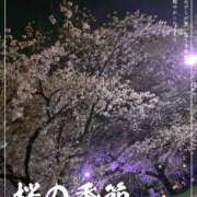 ヒメ日記 2026/04/03 23:26 投稿 なみ 逢って30秒で即尺