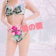 ヒメ日記 2026/04/09 06:00 投稿 なみ 逢って30秒で即尺