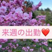 ヒメ日記 2025/05/17 21:01 投稿 大宮りょう ABC 岩手ソープ