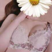 ヒメ日記 2025/06/05 08:46 投稿 大宮りょう ABC 岩手ソープ