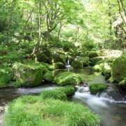 ヒメ日記 2025/05/28 10:11 投稿 有村 ひじり 30代40代50代と遊ぶなら博多人妻専科24時