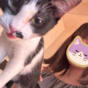 ヒメ日記 2025/07/22 09:49 投稿 ちず ハピネス札幌