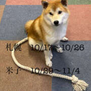 ヒメ日記 2025/09/26 16:59 投稿 ちず ハピネス札幌