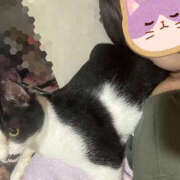 ヒメ日記 2025/10/06 11:37 投稿 ちず ハピネス札幌