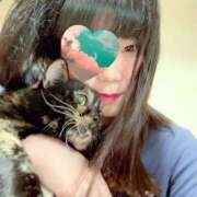 ヒメ日記 2025/11/23 10:13 投稿 ちず ハピネス札幌