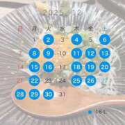 桜華　アカリ 12月シフト🎄 Amateras～アマテラス～