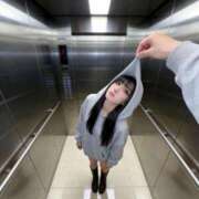 桜華　アカリ Gotta Love Me Amateras～アマテラス～