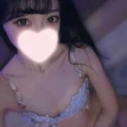 ヒメ日記 2026/03/19 13:15 投稿 桜華　アカリ Amateras～アマテラス～