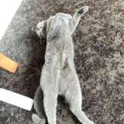 ヒメ日記 2025/10/20 19:33 投稿 柊きょうか 性感回春アロマSPA金沢店