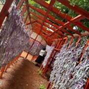 ヒメ日記 2025/11/11 10:48 投稿 柊きょうか 性感回春アロマSPA金沢店