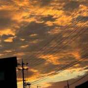 ヒメ日記 2025/11/20 17:48 投稿 柊きょうか 性感回春アロマSPA金沢店