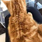 ヒメ日記 2025/11/28 17:33 投稿 柊きょうか 性感回春アロマSPA金沢店