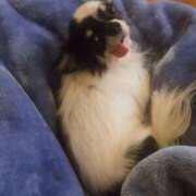 ヒメ日記 2025/05/17 21:12 投稿 森内あやか 性感回春アロマSPA金沢店