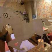 ヒメ日記 2025/06/11 02:12 投稿 森内あやか 性感回春アロマSPA金沢店