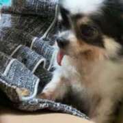 ヒメ日記 2025/07/19 16:10 投稿 森内あやか 性感回春アロマSPA金沢店