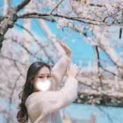 ヒメ日記 2026/03/21 15:16 投稿 本城りな 皇帝別館（こうていべっかん）