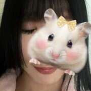 さき 今日もいます 丸の内