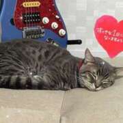 ヒメ日記 2025/08/07 13:24 投稿 あやか ニュー姫