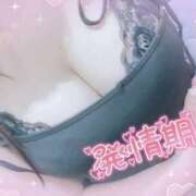 ヒメ日記 2025/10/25 11:05 投稿 ちあき めっちゃスイスク梅田店