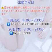 ヒメ日記 2025/11/14 11:41 投稿 かりん びくびくサークル五反田店