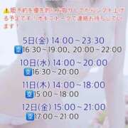 かりん 出勤予定日 びくびくサークル五反田店