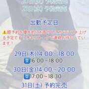 かりん 出勤予定日 びくびくサークル五反田店