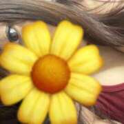 ヒメ日記 2025/06/12 19:05 投稿 花梨-かりん 熟女10000円デリヘル横浜