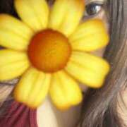 ヒメ日記 2025/06/15 11:07 投稿 花梨-かりん 熟女10000円デリヘル横浜