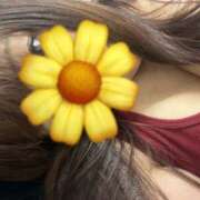 ヒメ日記 2025/08/07 11:44 投稿 花梨-かりん 熟女10000円デリヘル横浜