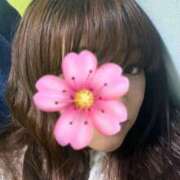 ヒメ日記 2026/02/04 09:17 投稿 花梨-かりん 熟女10000円デリヘル横浜