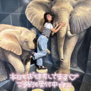 ヒメ日記 2025/07/06 08:00 投稿 かのこ クラブハートDX