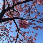 かのこ きれい? クラブハートDX