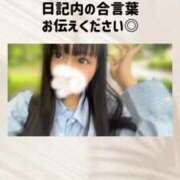 ヒメ日記 2025/08/22 17:23 投稿 なつ E+アイドルスクール　大阪・日本橋店