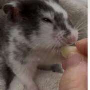 えみ 待ってね😭😭 E+アイドルスクール　大阪・日本橋店