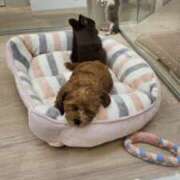 ヒメ日記 2025/06/21 18:05 投稿 あんな(昭和41年生まれ) 熟年カップル名古屋～生電話からの営み～