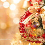 ヒメ日記 2025/12/24 09:47 投稿 あんな(昭和41年生まれ) 熟年カップル名古屋～生電話からの営み～