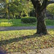 ヒメ日記 2026/10/09 15:50 投稿 あんな(昭和41年生まれ) 熟年カップル名古屋～生電話からの営み～