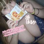 ヒメ日記 2025/10/19 06:30 投稿 遥～HARUKA～ BBW 西川口店