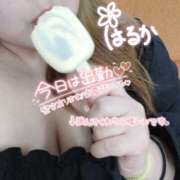 ヒメ日記 2025/10/26 06:00 投稿 遥～HARUKA～ BBW 西川口店